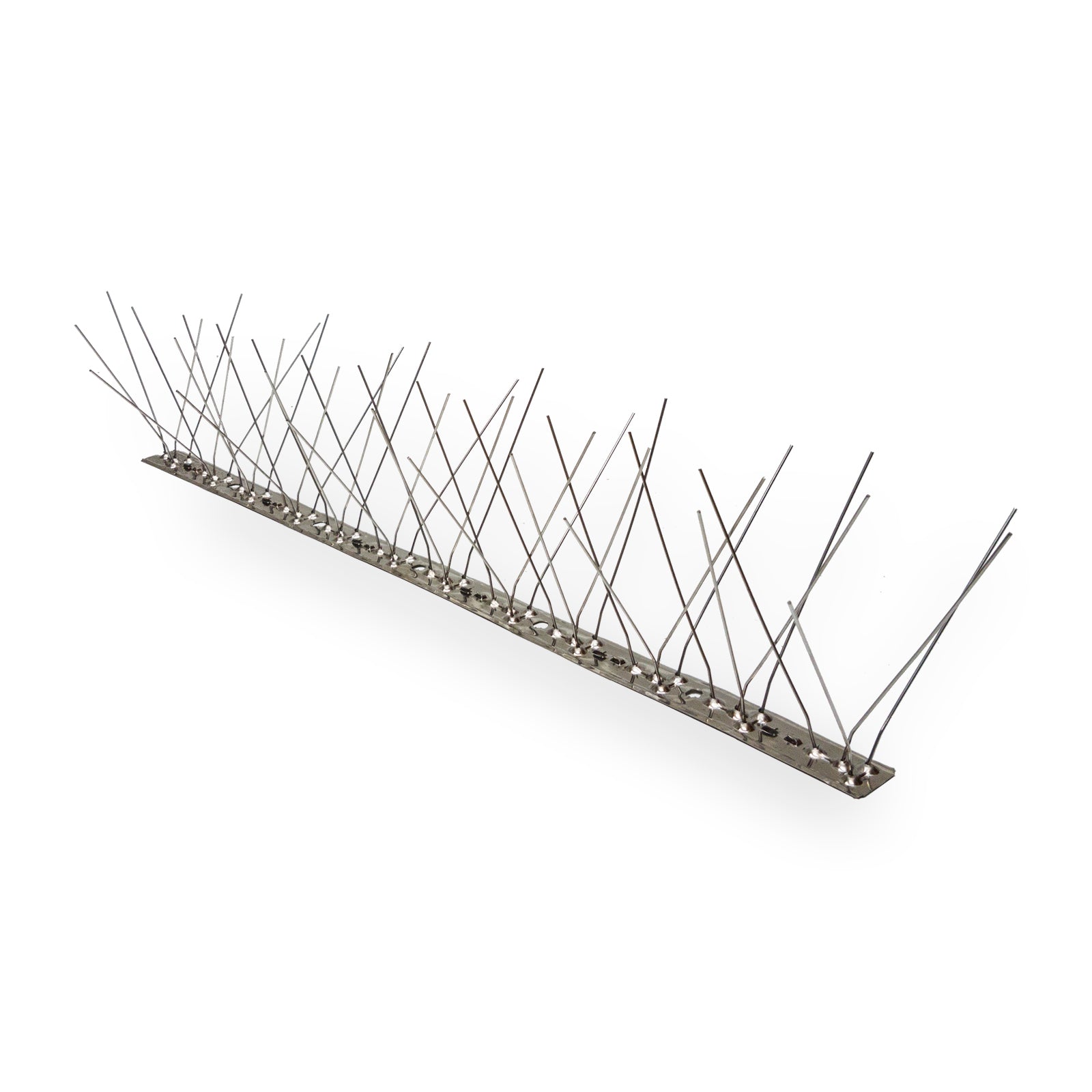 Stainless Steel Bird Spikes - 150mm Wide