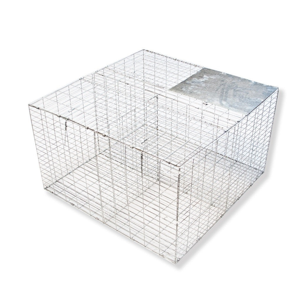 Larsen Type Bird Trap