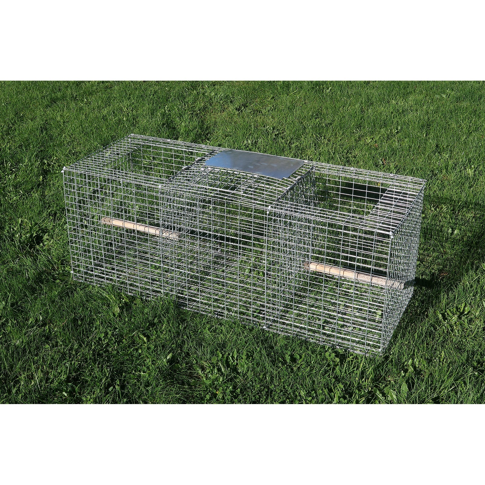 Larsen Type Bird Trap - Rectangular