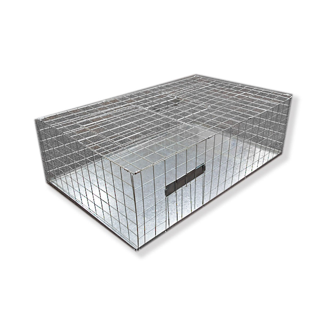 Pigeon Cage Trap